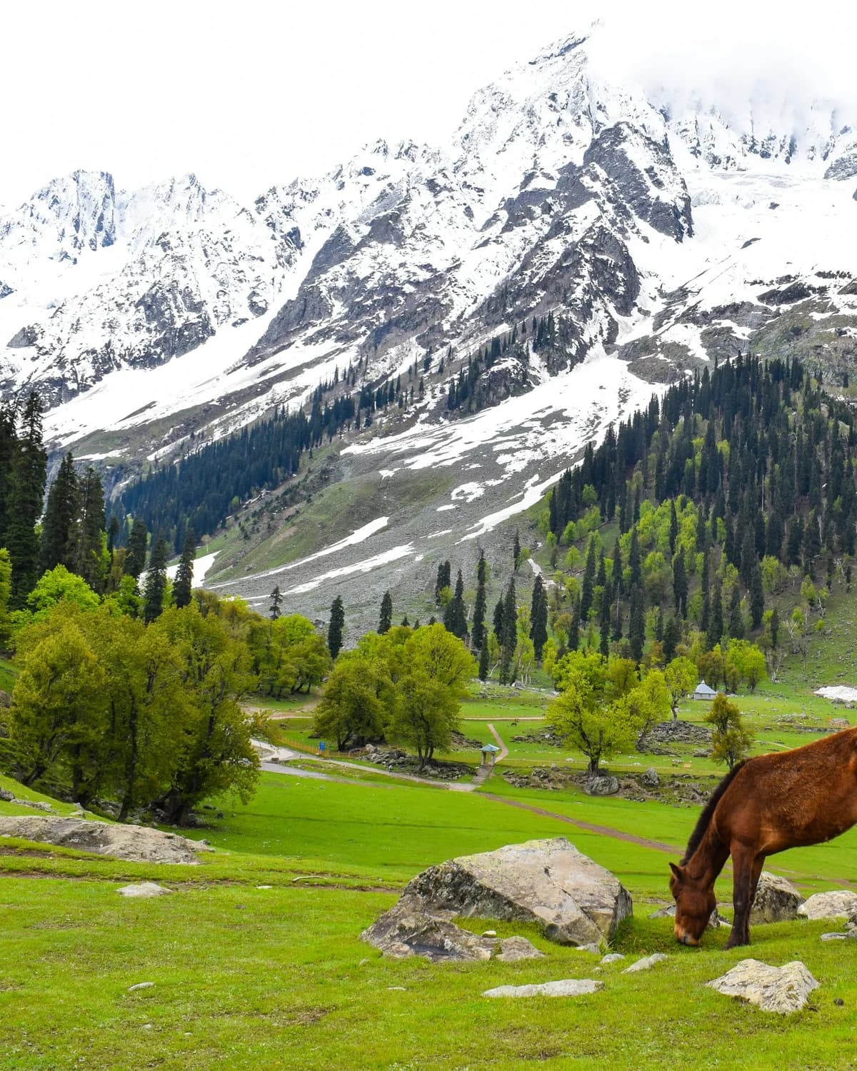 Kashmir