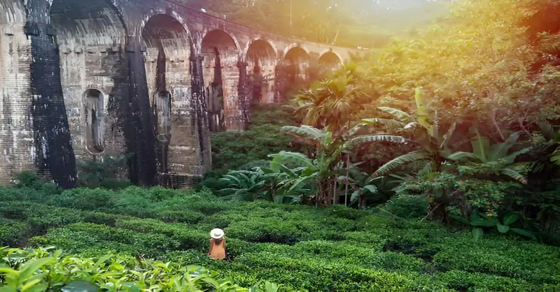 Jewel Of Indian Ocean